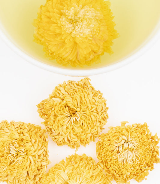 Royal Chrysanthemum